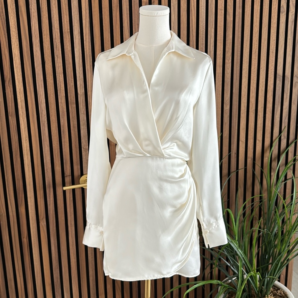 Never worn silk Zara dress